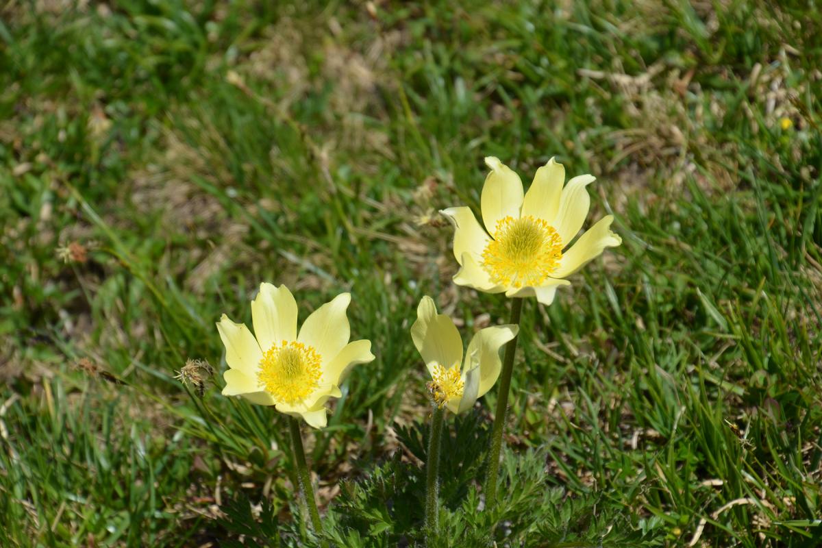 Latzfonser Kreuz 01.07.2015